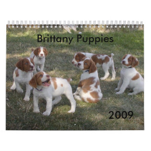 Calendario 2009 de los perritos de Bretaña