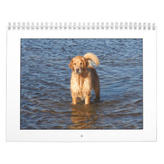 Calendario 2009 de Mack