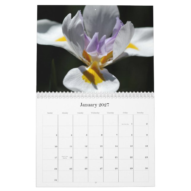 Calendario 2009 - Flores (Jan 2027)