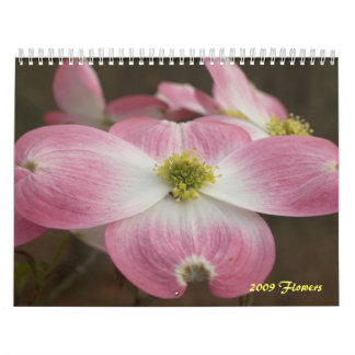 Calendario 2009 flores