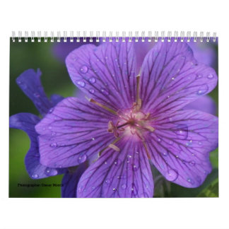 Calendario 2009 photgraphed por Stacey Morris