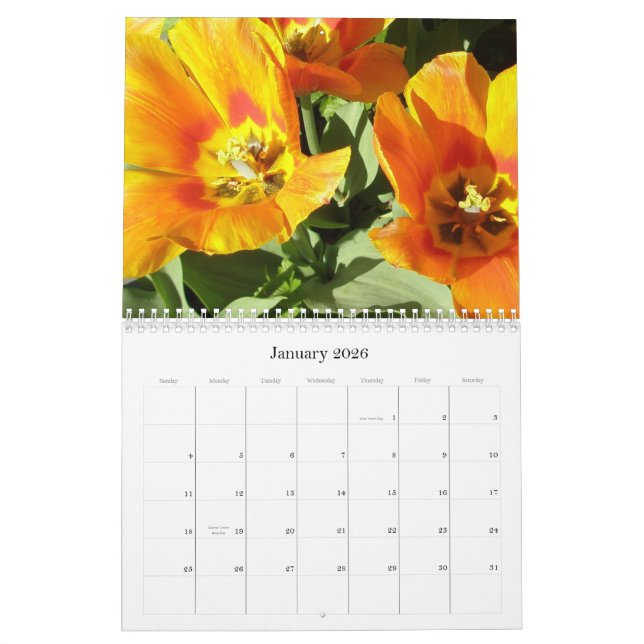 Calendario 2009 photgraphed por Stacey Morris (Jan 2026)