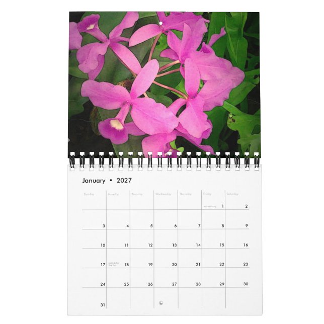 Calendario 2009: Un año de orquídeas de Hawaii (Jan 2027)