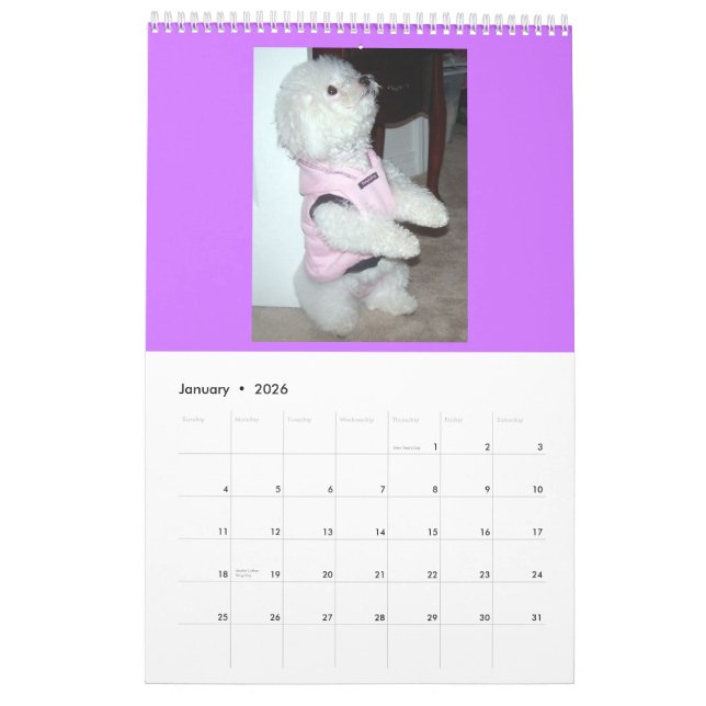 Calendario 2010 (Jan 2026)