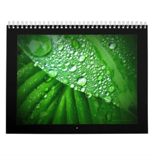 Calendario 2010