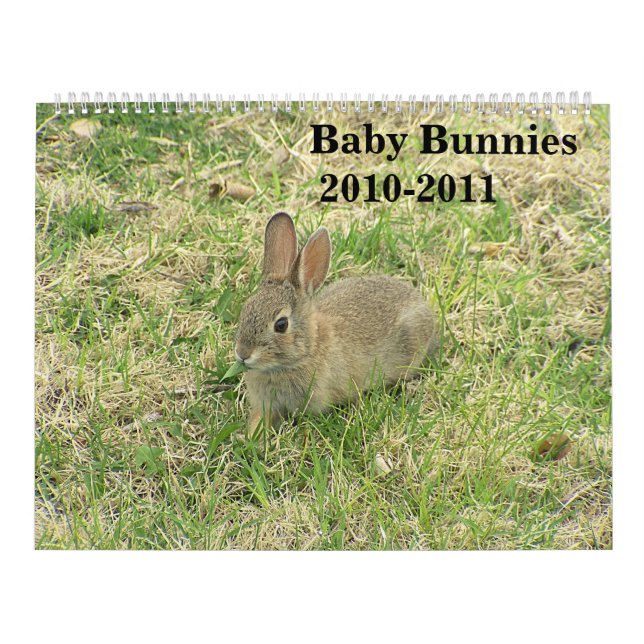 Calendario 2010-2011 del conejito del bebé (Tapa)