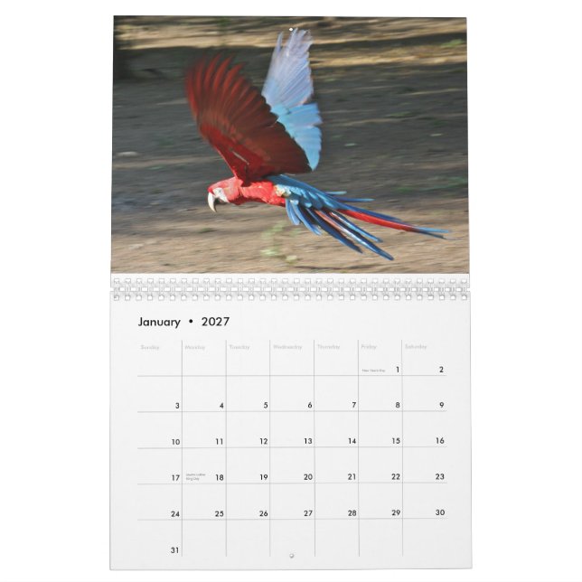 Calendario 2010 calendario, pájaros del Brasil (Jan 2027)