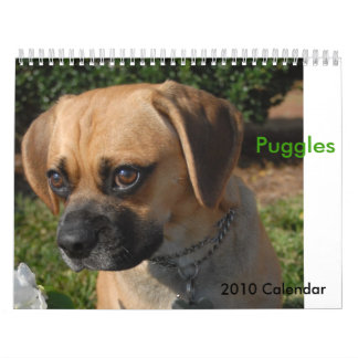 Calendario 2010 calendario, Puggles