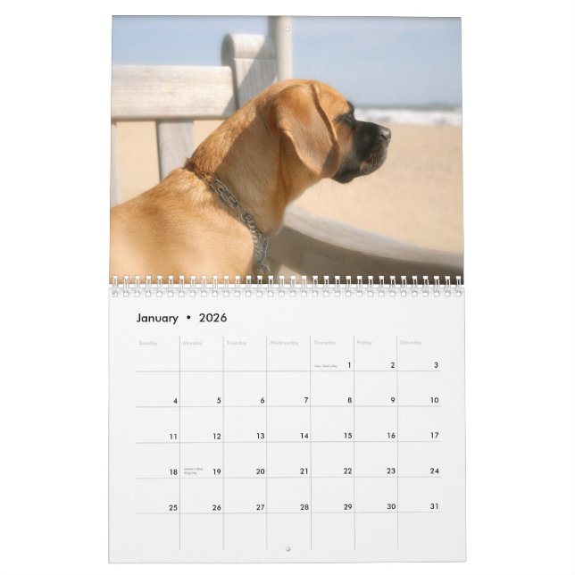 Calendario 2010 calendario, Puggles (Jan 2026)