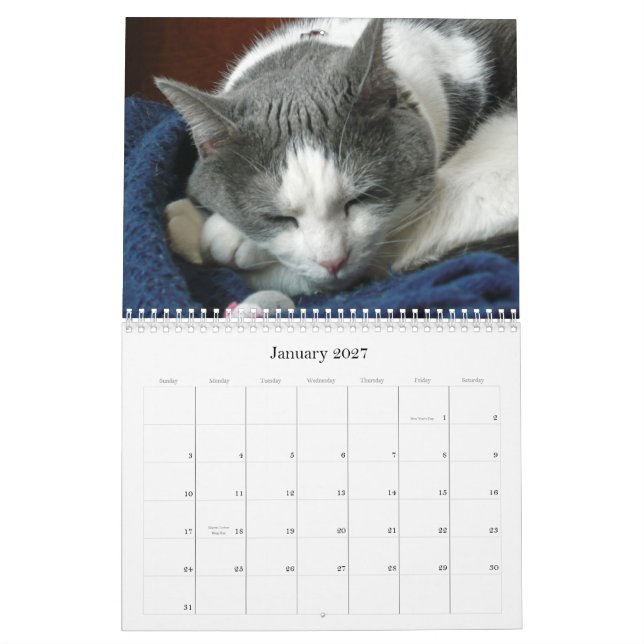Calendario 2010 con el Belly de Guru (Jan 2027)