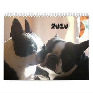 Calendario 2010-Cover, 2010
