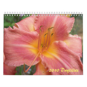Calendario 2010 Daylilies