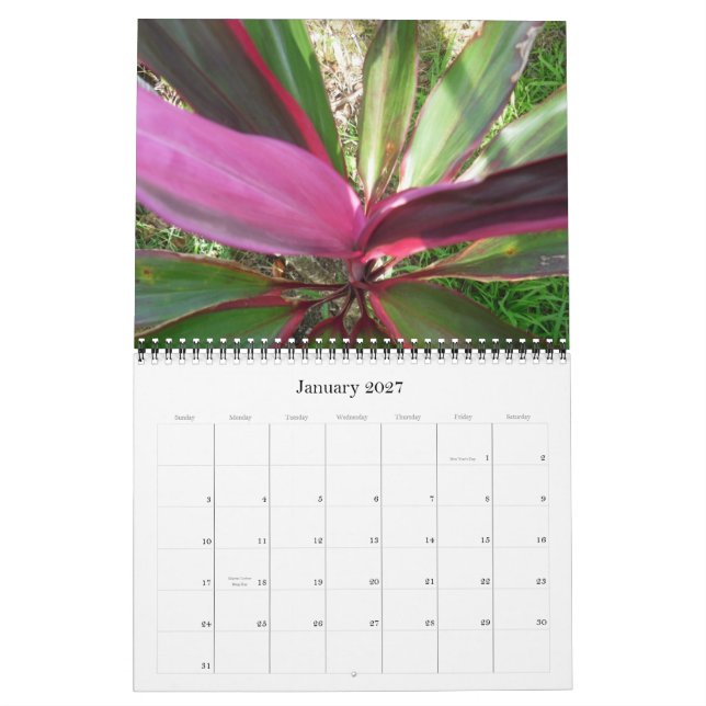 Calendario 2010 de Hawaii (Jan 2027)
