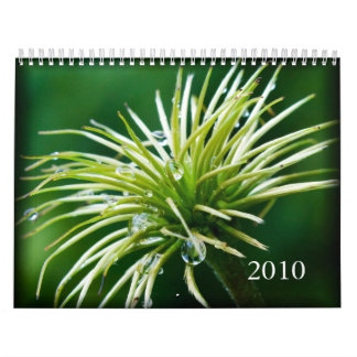 Calendario 2010 de la fotografía en color