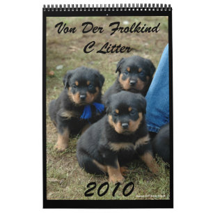 Calendario 2010 de la litera de C