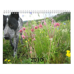 Calendario 2010 de la naturaleza