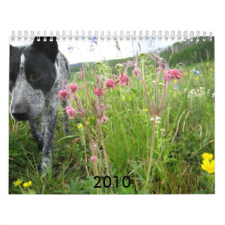 Calendario 2010 de la naturaleza