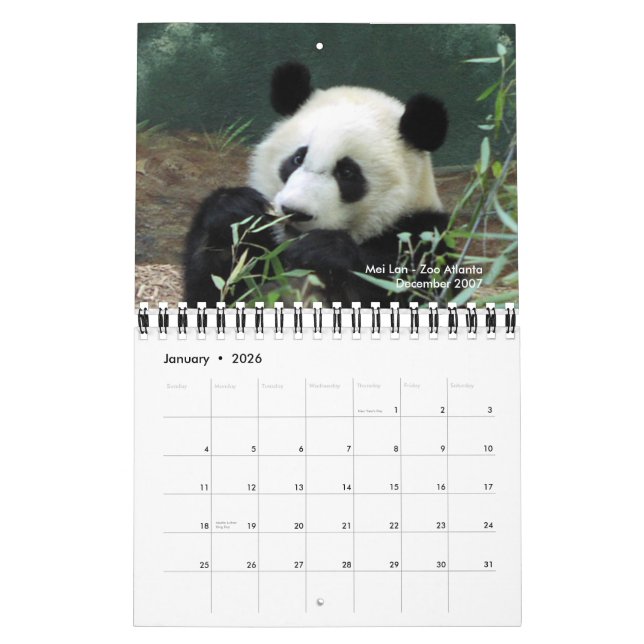 Calendario 2010 de la panda (Jan 2026)