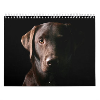 Calendario 2010 de Labrador del chocolate