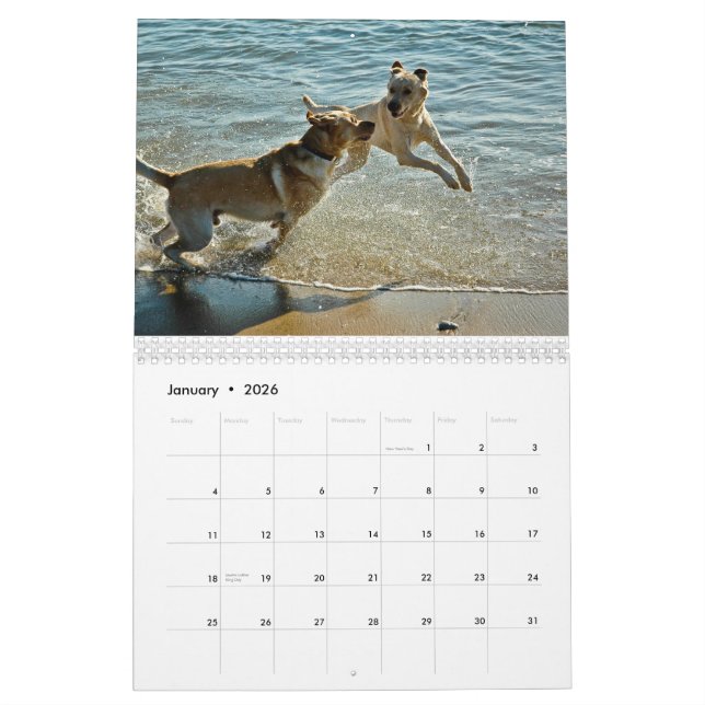 Calendario 2010 de Oceandoggy (Jan 2026)