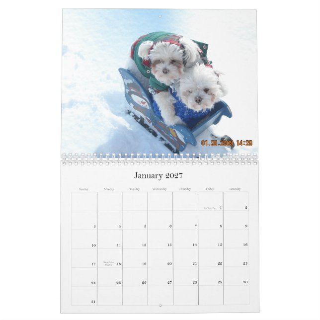 Calendario 2010 de Pawfile del perro (Jan 2027)