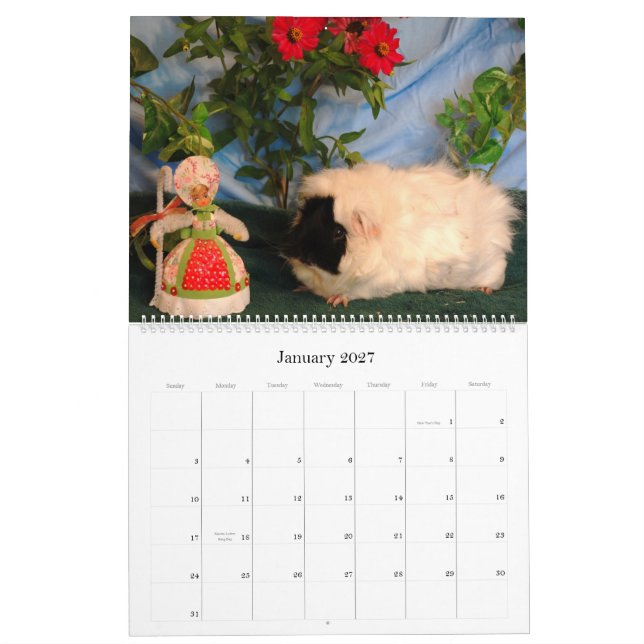 Calendario 2010 del amor del conejillo de Indias (Jan 2027)