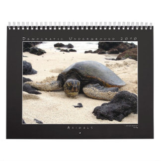 Calendario 2010 del grupo de la fotografía del DU