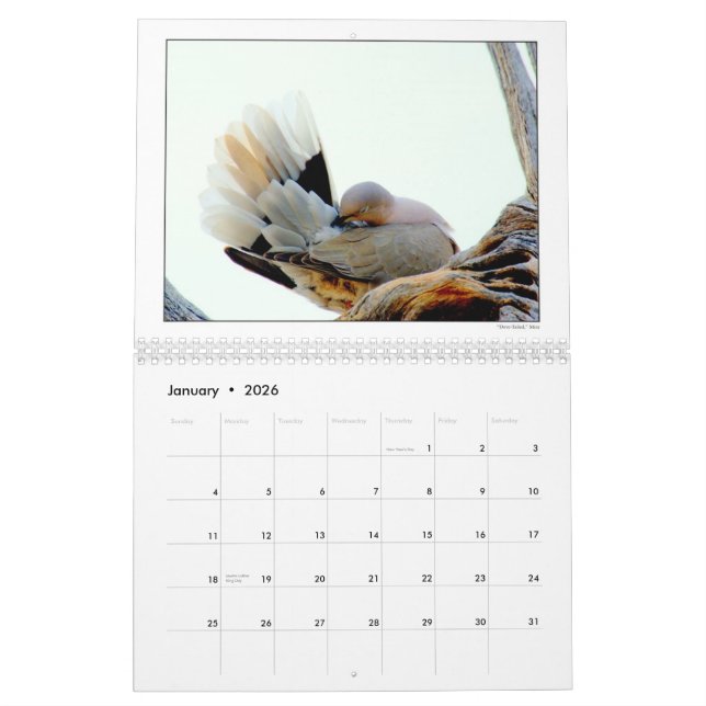 Calendario 2010 del grupo de la fotografía del DU (Jan 2026)