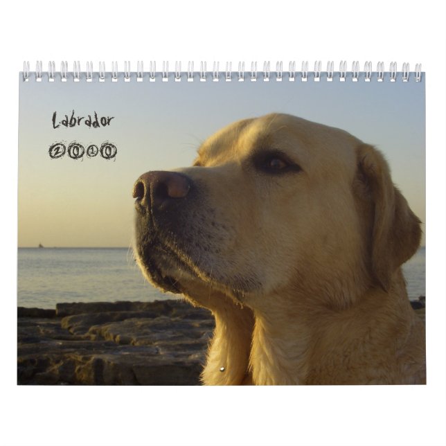Calendario 2010 del labrador retriever (Tapa)
