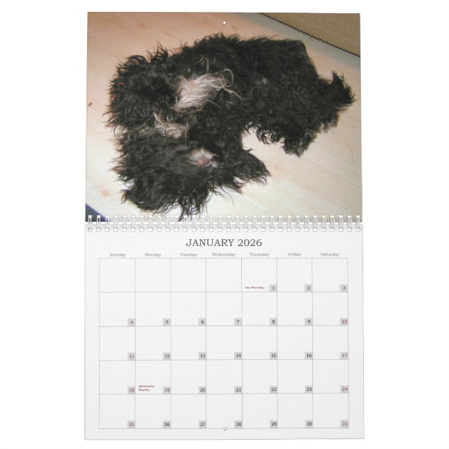 Calendario 2010 del perro negro (Jan 2026)