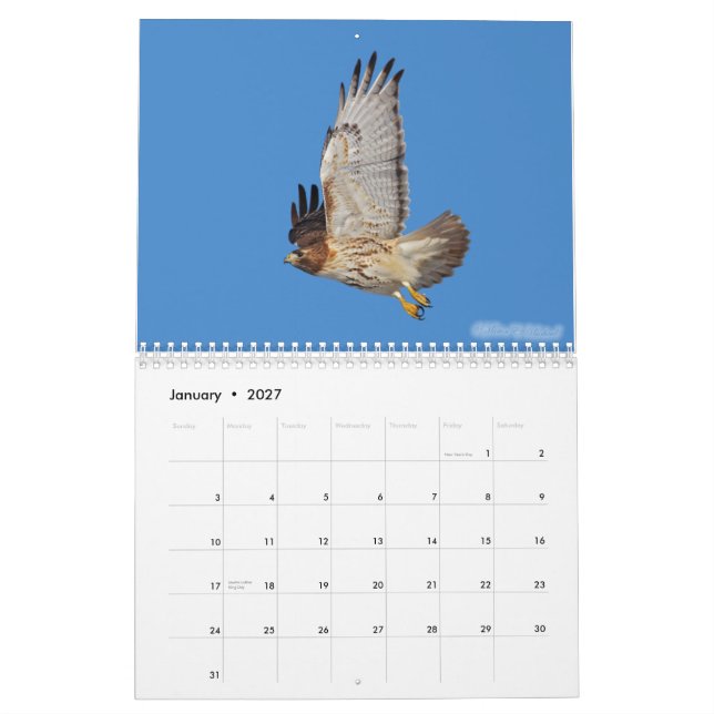 Calendario 2010 del rapaz (Jan 2027)