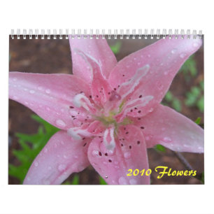 Calendario 2010 flores