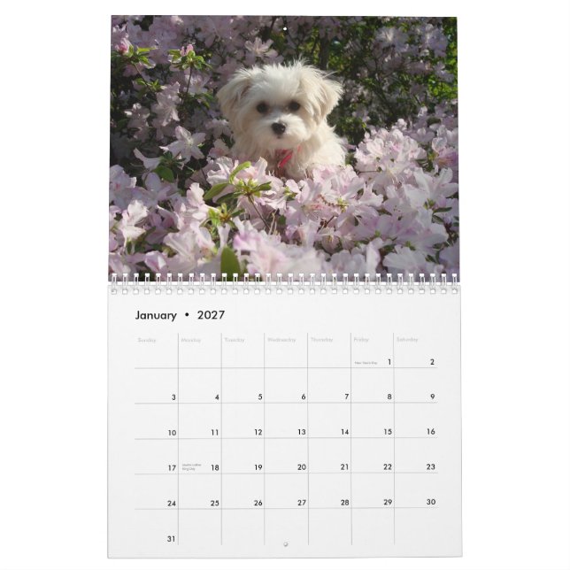 Calendario 2010 maltés (Jan 2027)