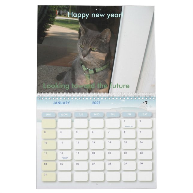 Calendario 2010: Un año con los gatos (Jan 2027)