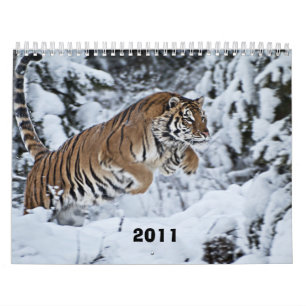 Calendario 2011