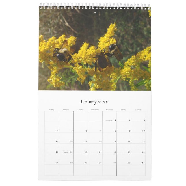 Calendario 2011 (Jan 2026)