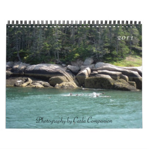 Calendario 2011