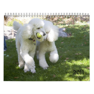 CALENDARIO 2011