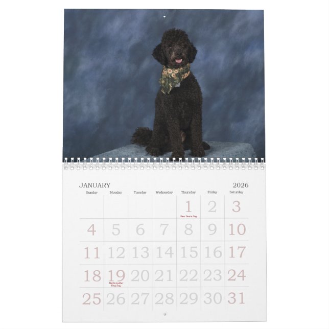 CALENDARIO 2011 (Jan 2026)