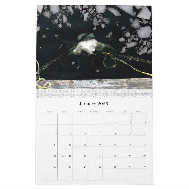 Calendario 2011, 12 meses de imágenes que perturban por Y… (Jan 2026)