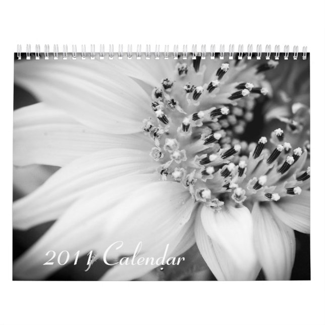 Calendario 2011 - blanco y negro (Tapa)