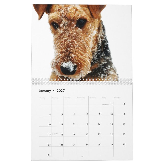 Calendario 2011 de Airedale Terrier (Jan 2027)