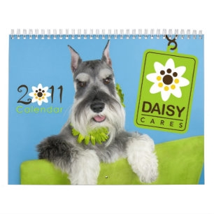 Calendario 2011 de DaisyCares