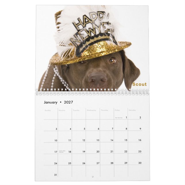 Calendario 2011 de DaisyCares (Jan 2027)