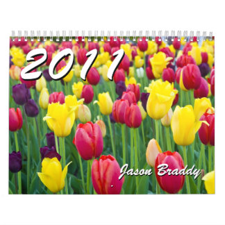 calendario 2011 de la foto