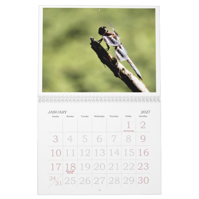 Calendario 2011 de la libélula (Jan 2027)