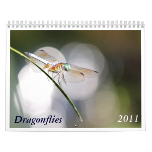 Calendario 2011 de la libélula