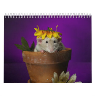 calendario 2011 de la rata