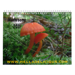 Calendario 2011 de la seta