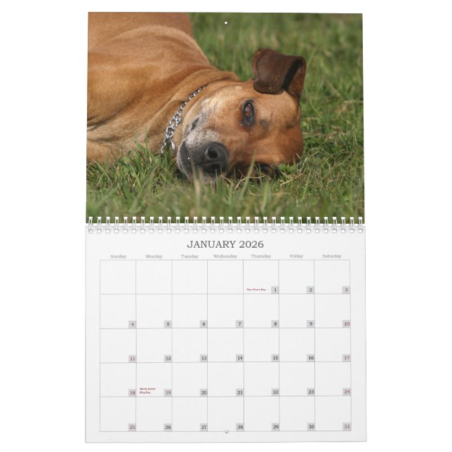Calendario 2011 de Rhodesian Ridgeback (Jan 2026)